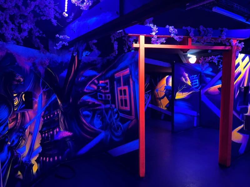 Arène laser Game Smile World Paris 15